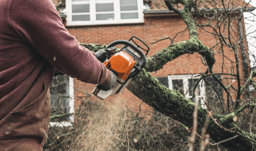 Ryan's Tree Care